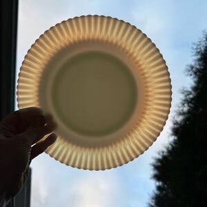 Macbeth-Evans Petalware plates in "creamax" color vintage dinner plates set 3